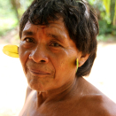 A Yanomami Indian elder from the village of Demini has adorned himself with leaves for the occasion. Published 4 May 2013. Handout picture from the Royal Court. For editorial use only, not for sale. Photo: Rainforest Foundation Norway / ISA Brazil.